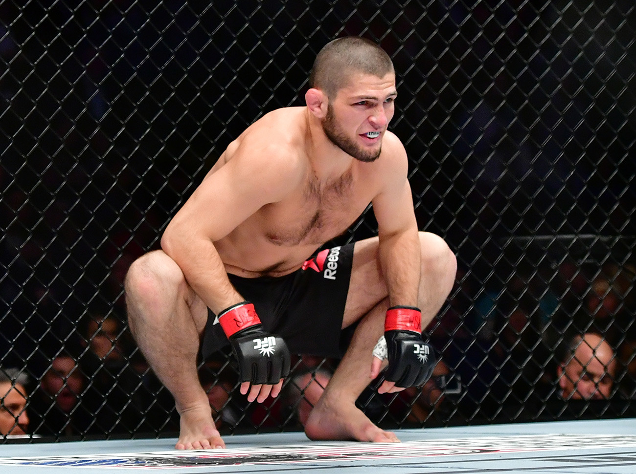 Sept Faits Inattendus Sur L Aigle De L UFC Khabib Nurmagomedov