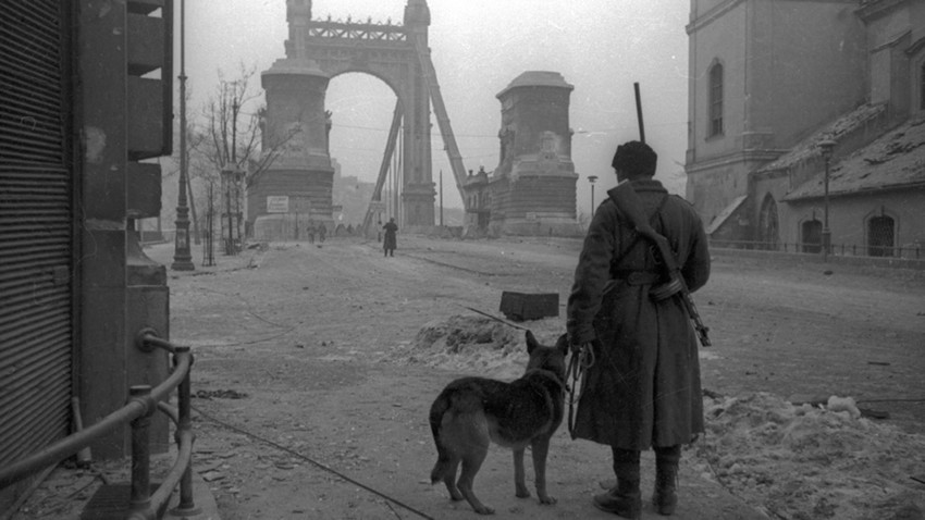 Liberated Budapest Through The Eyes Of Soviet Photographers Russia Beyond