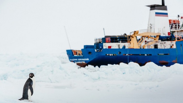 El barco ruso avanza saliendo de la trampa helada en la Antártida