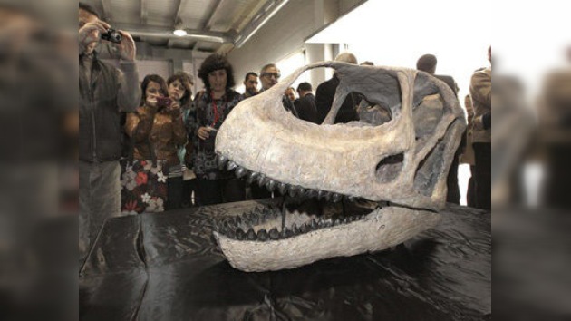 Presentado en España el cráneo del dinosaurio más grande de Europa