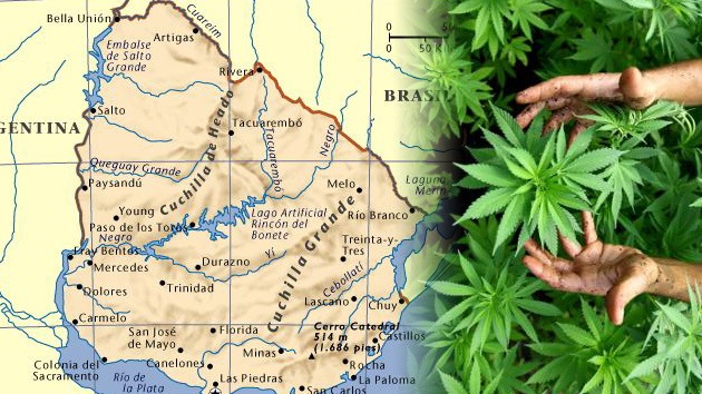 Gobierno uruguayo envía al Parlamento proyecto de ley para legalizar la marihuana