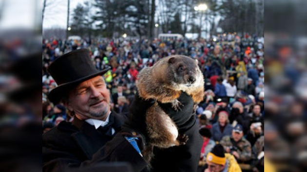 La mayoría de marmotas rusas no celebrará la fiesta norteamericana