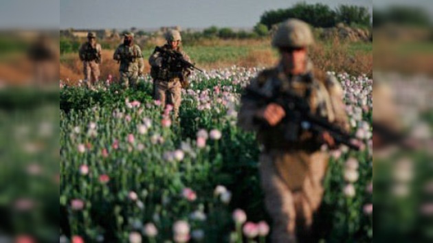 'Bombardeo' de dólares para tapar el pozo de la droga afgana