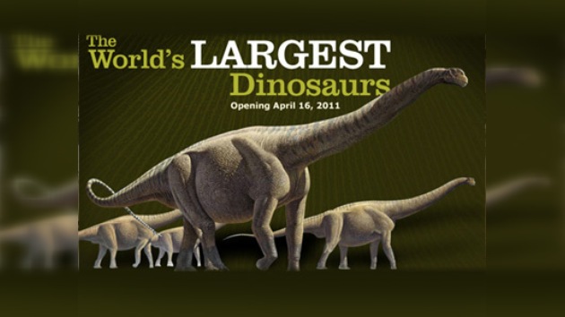 Los dinosaurios no se extinguieron, afirman científicos que "revivieron" a gigante