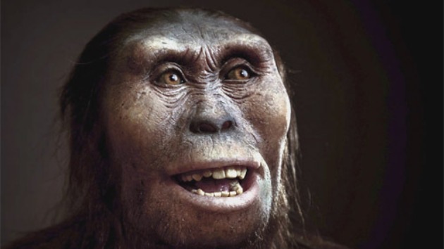 Hallan restos de Neandertal de 200.000 años de antigüedad en el Pirineo catalán