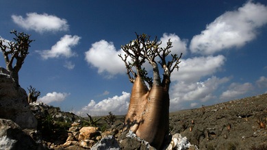 Increíbles imágenes de la isla 'más extraterrestre de la Tierra'