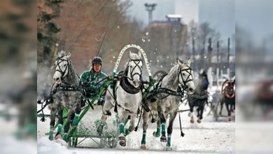 Campeonato Nacional de Troikas se celebró en Moscú
