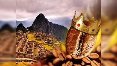 El café peruano es el mejor del mundo