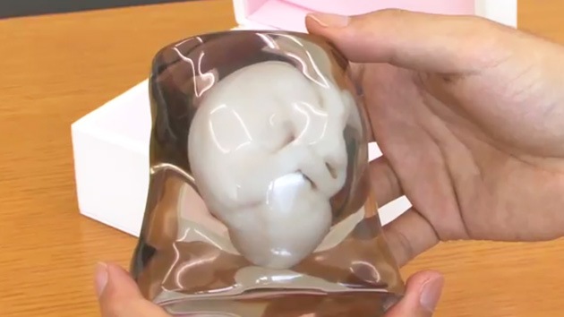 Video: Embriones 3D, nuevo servicio en Japón
