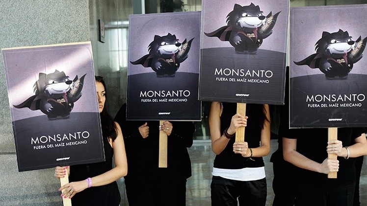La nueva 'ley Monsanto' para África obligaría a usar semillas modificadas