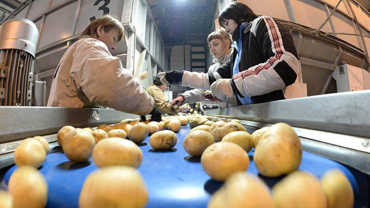 La Unión Europea envía a Rusia propuestas para reanudar el comercio de alimentos
