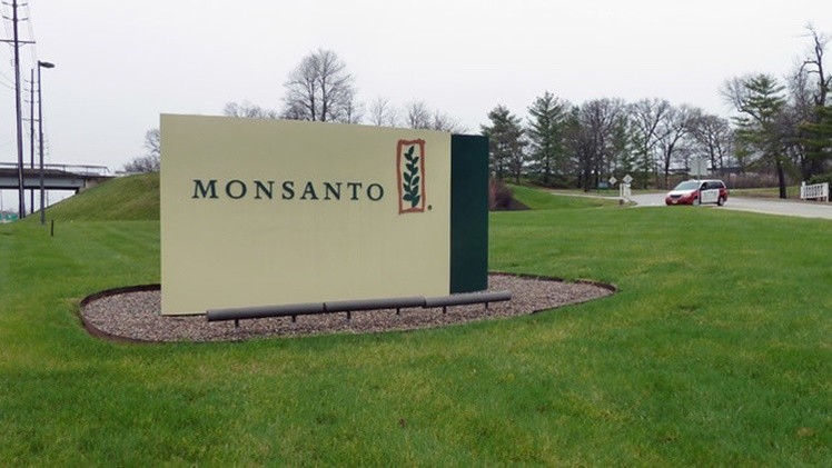 EE.UU. ignora a los agricultores y aprueba las semillas modificadas de Monsanto