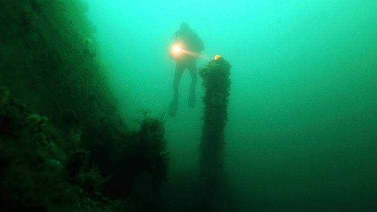 Hallan un impresionante bosque subacuático de 10.000 años
