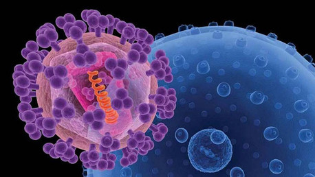 ¿Por qué antiguos virus mejoran nuestro cerebro?