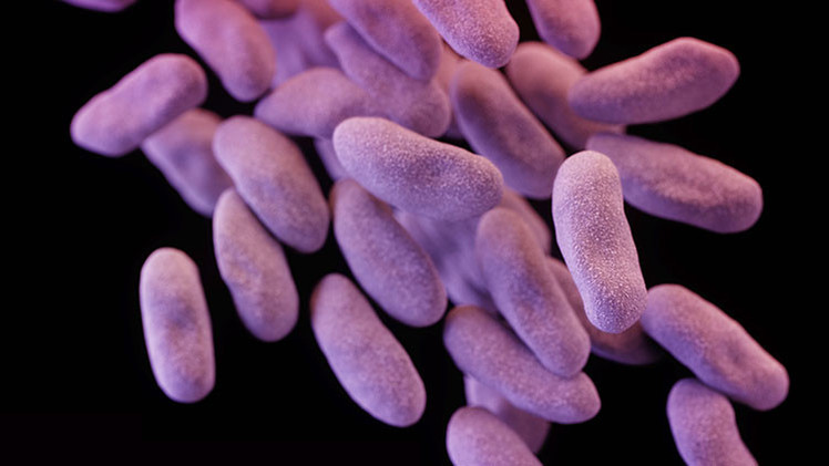 Una misteriosa superbacteria mata a dos pacientes en EE.UU.