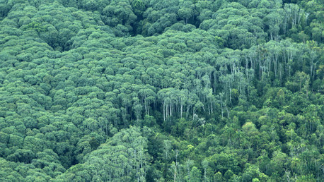 Calentamiento global: científicos encuentran la solución para salvar al planeta