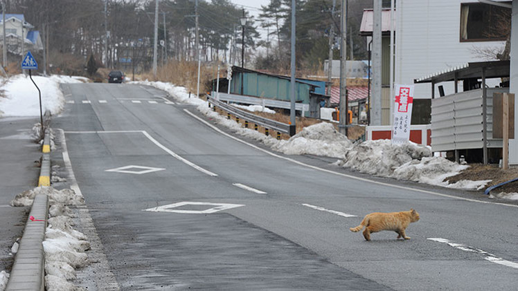 Fotos: Un paraíso, convertido en pueblo fantasma por la radiación de Fukushima