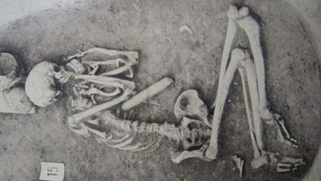 Las lenguas indoeuropeas tienen sus misteriosos orígenes en las estepas del este