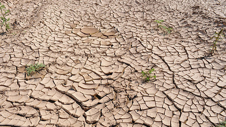 La 'guerra del agua': enfrentamientos, hambre y terrorismo mundial