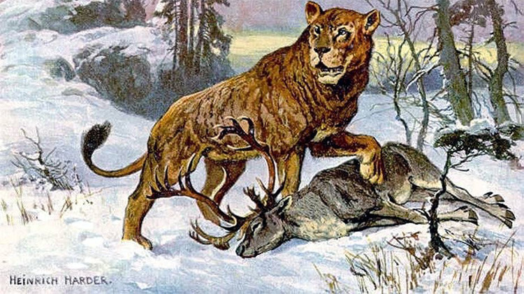 Científicos rusos podrían 'revivir' al león cavernario extinto hace 10.000 años