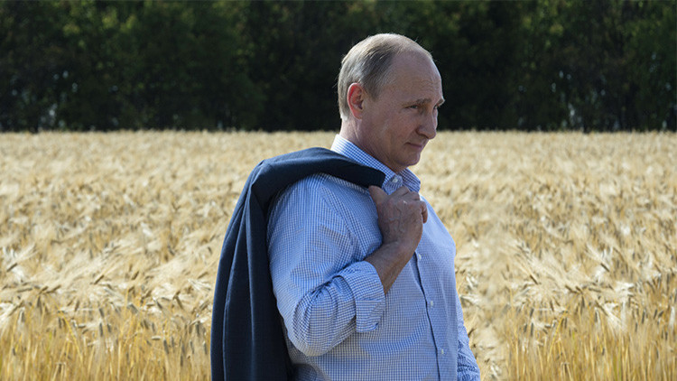 Putin: "Rusia podría convertirse en el mayor proveedor mundial de alimentos no transgénicos"