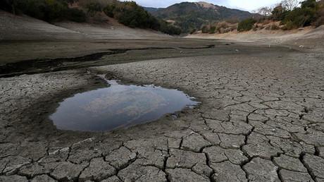 ¿Qué nos depara el año nuevo?:El mundo está al borde del hambre y la escasez de agua es inminente
