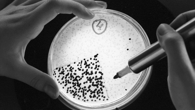 Bacteria del 'hombre de hielo' desconcierta a los científicos
