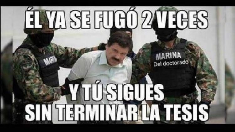 Campeón de 'las escondidas': los internautas se burlan con memes de la nueva captura de 'El Chapo'