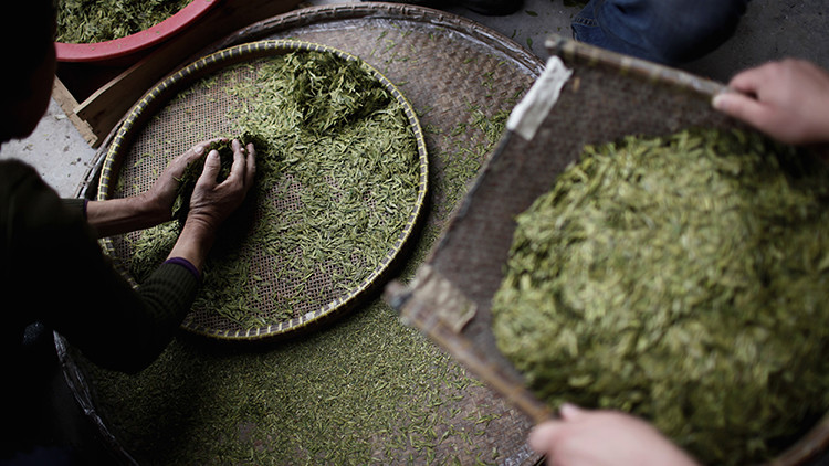 Hallan el té más antiguo del mundo en la tumba de un emperador chino