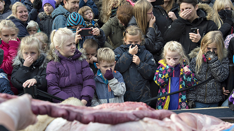 Un zoológico de  Dinamarca descuartiza a un león frente a decenas de niños