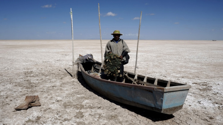 Desastre natural en Bolivia: millones de animales mueren tras desparecer un lago