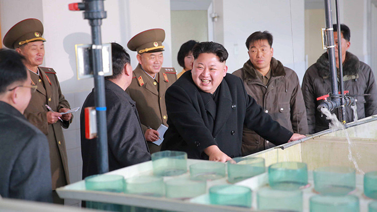 Kim Jong-un: "Las bebidas de hongos fortalecen la salud de los deportistas norcoreanos"