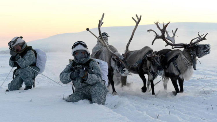 VIDEO: Las tropas árticas rusas se entrenan con huskies y renos