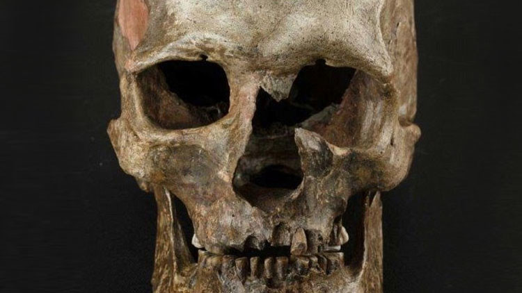 Un capítulo secreto de la historia: Los verdaderos europeos desaparecieron hace 14.500 años