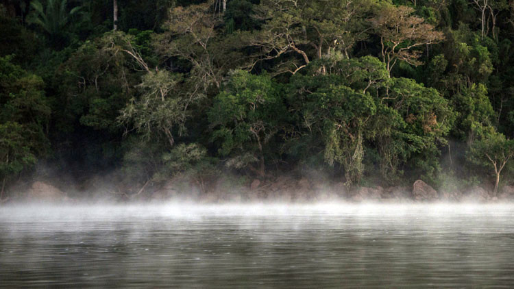 Descubren un legendario río que 'hierve' a sus víctimas en el corazón de la selva amazónica