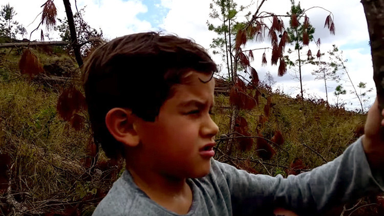 "El planeta se muere": un niño hondureño denuncia la tala masiva de árboles en la Tierra (VIDEO)