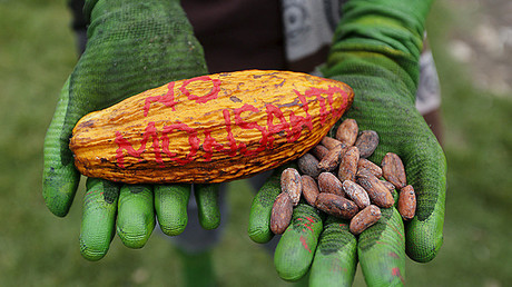 Nueva polémica por el glifosato: culpan a Monsanto de manipular estudios