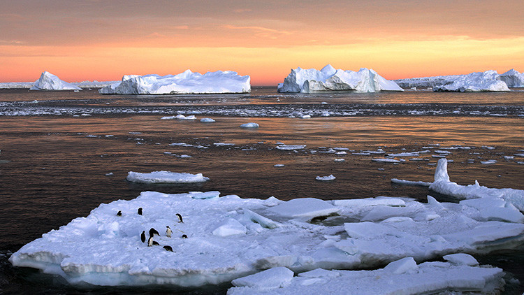 Descubren 'monstruos prehistóricos' en una expedición en la Antártida 