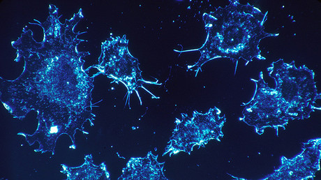 Descubren un método para luchar contra el cáncer que podría prescindir de la quimioterapia