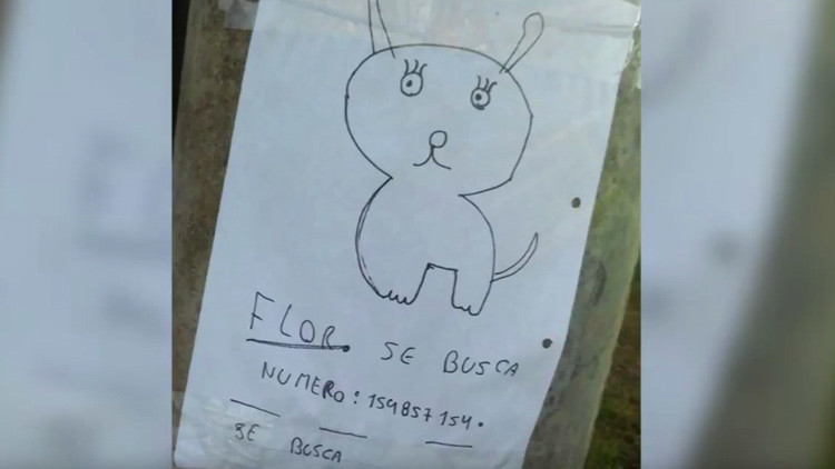 Retrato robot canino: Niños argentinos buscan a su mascota extraviada con un dibujo