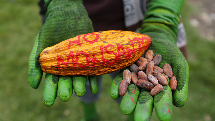 México, un mercado de 537 millones de dólares para Monsanto