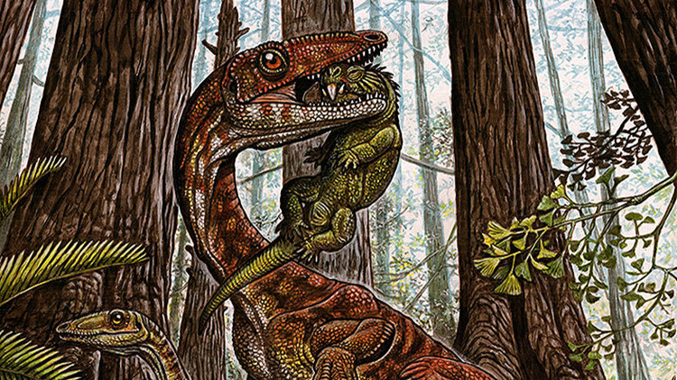 Fósiles hallados en Brasil obligan a reescribir la historia de los dinosaurios