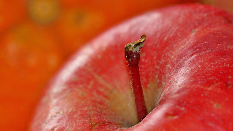 Una empresa canadiense testea en ciudadanos de EE.UU. manzanas que no se oxidan 