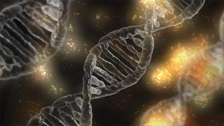 Nueva forma de vida: Científicos crean unos organismos con ADN sintético 