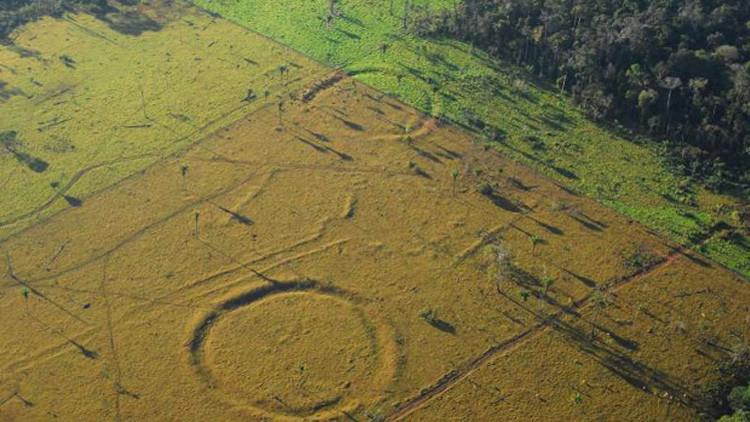 "Descubrimiento clave": Hallan 450 geoglifos de 2.000 años de antigüedad en la Amazonía (FOTOS)