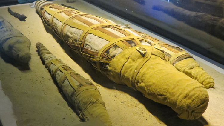 Arqueólogos hallan en Egipto la momia de un cocodrilo de 4 metros