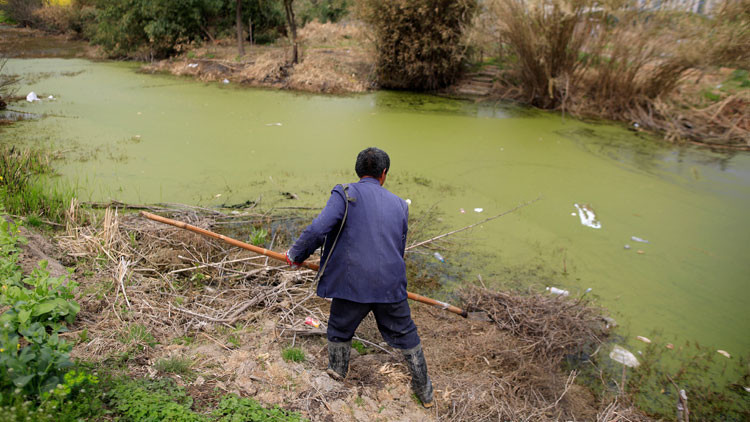 Un agricultor chino estudió Derecho durante 16 años para demandar a una empresa por contaminación 