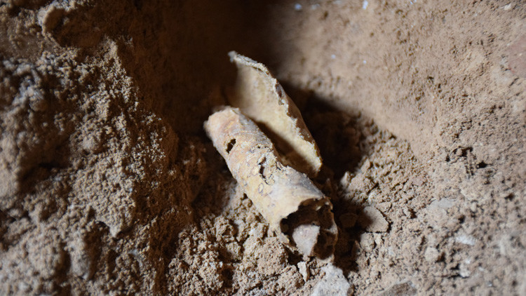 Hallazgo de dimensiones bíblicas: Hallan otra cueva de los Manuscritos del mar Muerto