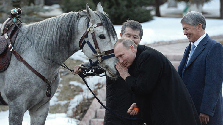 Regalan a Putin un caballo pura sangre: ¿Quiere saber cuáles son sus otras mascotas? (VIDEO, FOTOS)