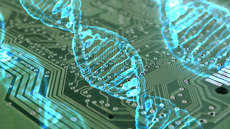 Científicos planean construir un computador con moléculas de ADN con capacidad de autorreplicación